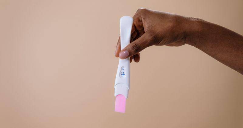 Pexels.com/cottonbro studio