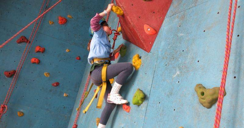 Freepik.com/zinkevych