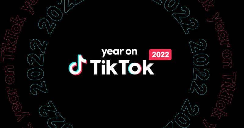 Year On TikTok 2022