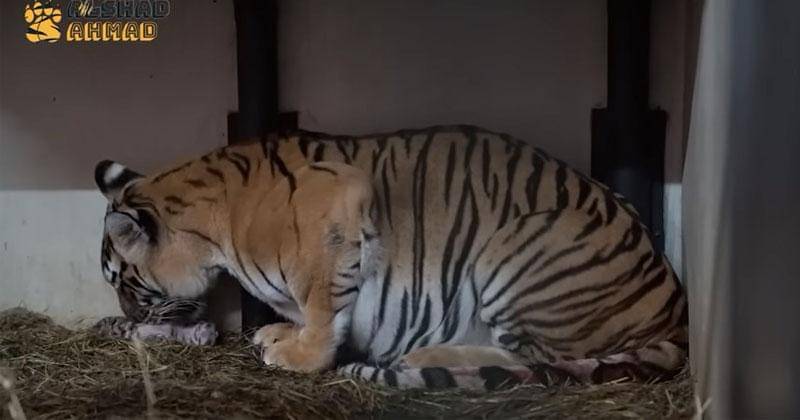 Youtube.com/Alshad Ahmad