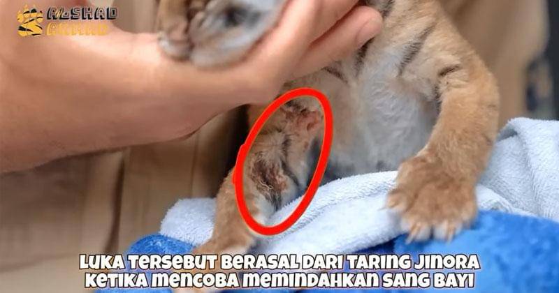 Youtube.com/Alshad Ahmad