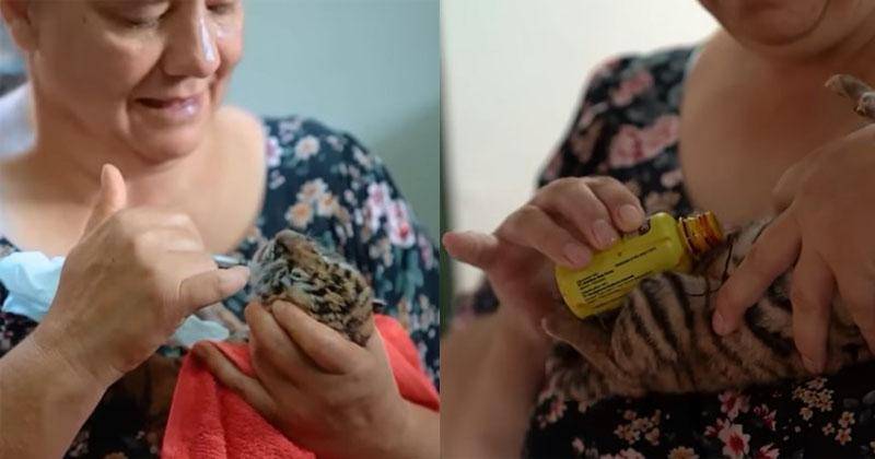 Youtube.com/Alshad Ahmad