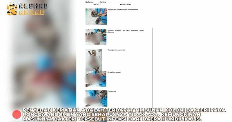 Youtube.com/Alshad Ahmad