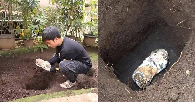 Youtube.com/Alshad Ahmad