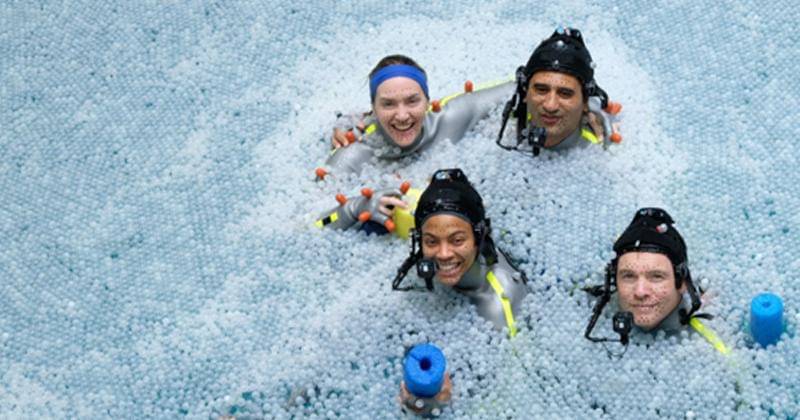 Twitter.com/@officialavatar