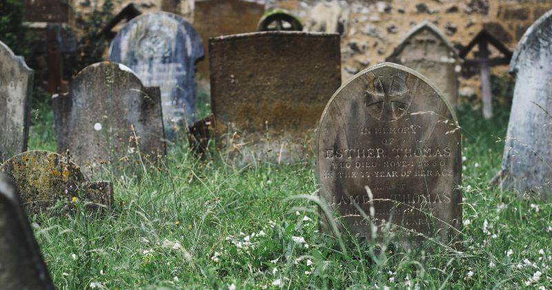 Pexels/Vladimir Gladkov