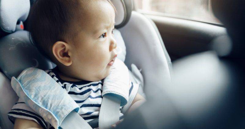 Shutterstock/eggeegg