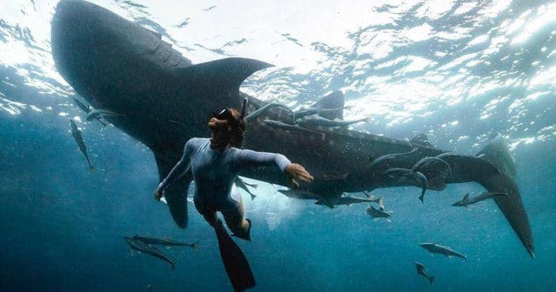 Instagram.com/josiahwg