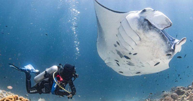 Instagram.com/timur_angin