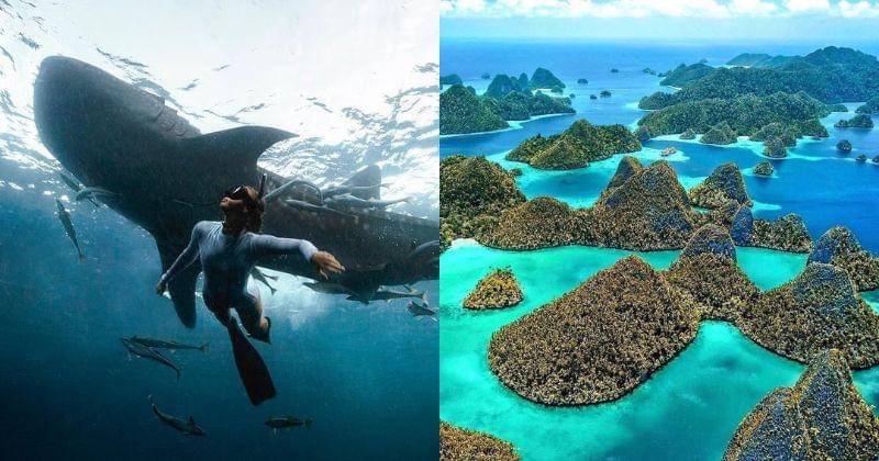 Instagram.com/josiahwg/travelimmediately