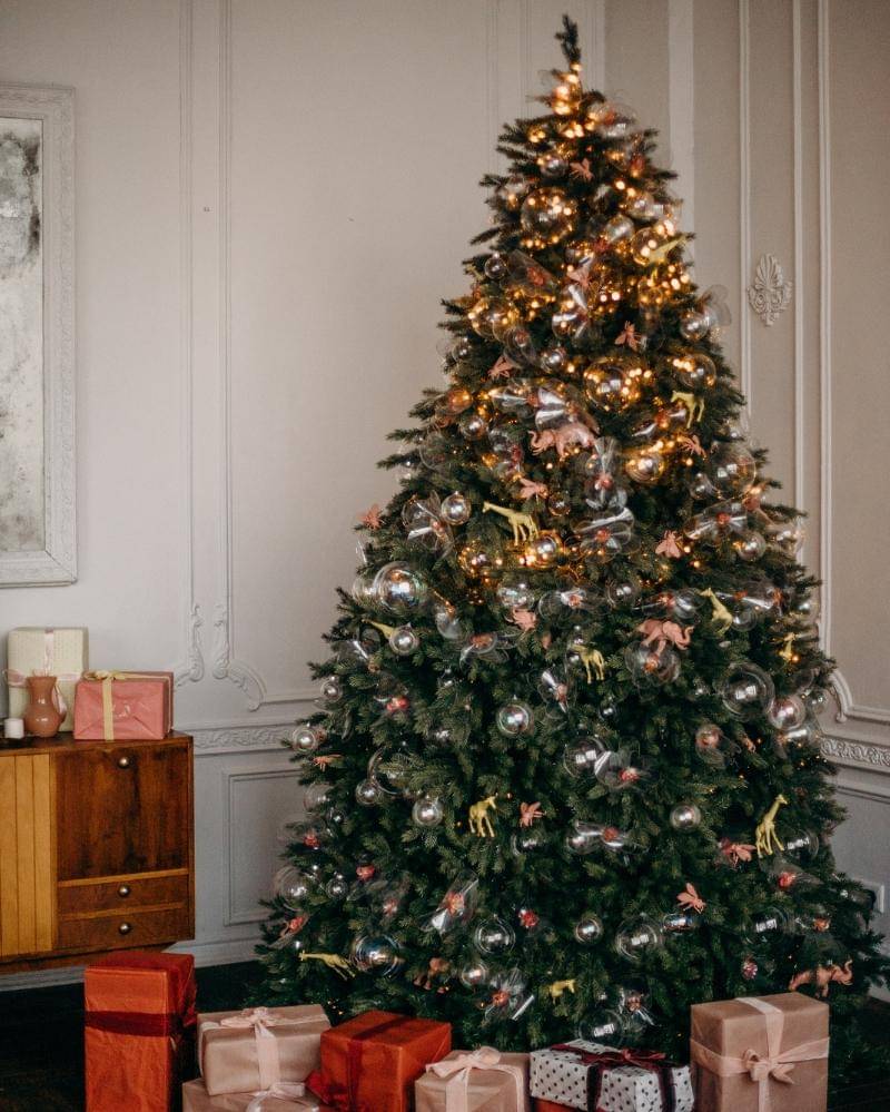 Pexels/cottonbro Studio