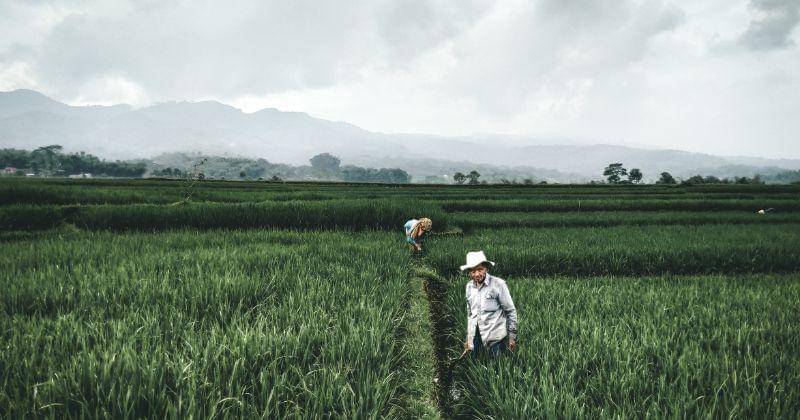 Unsplash/ramadhani_rafid