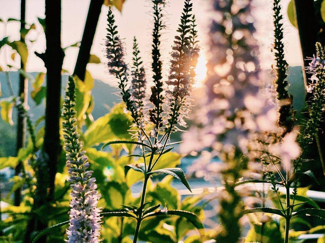 Instagram.com/YejinHand