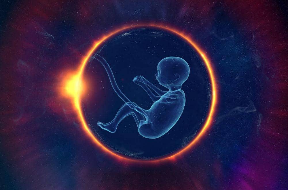 Apakah bayi bisa menangis saat masih di dalam kandungan?