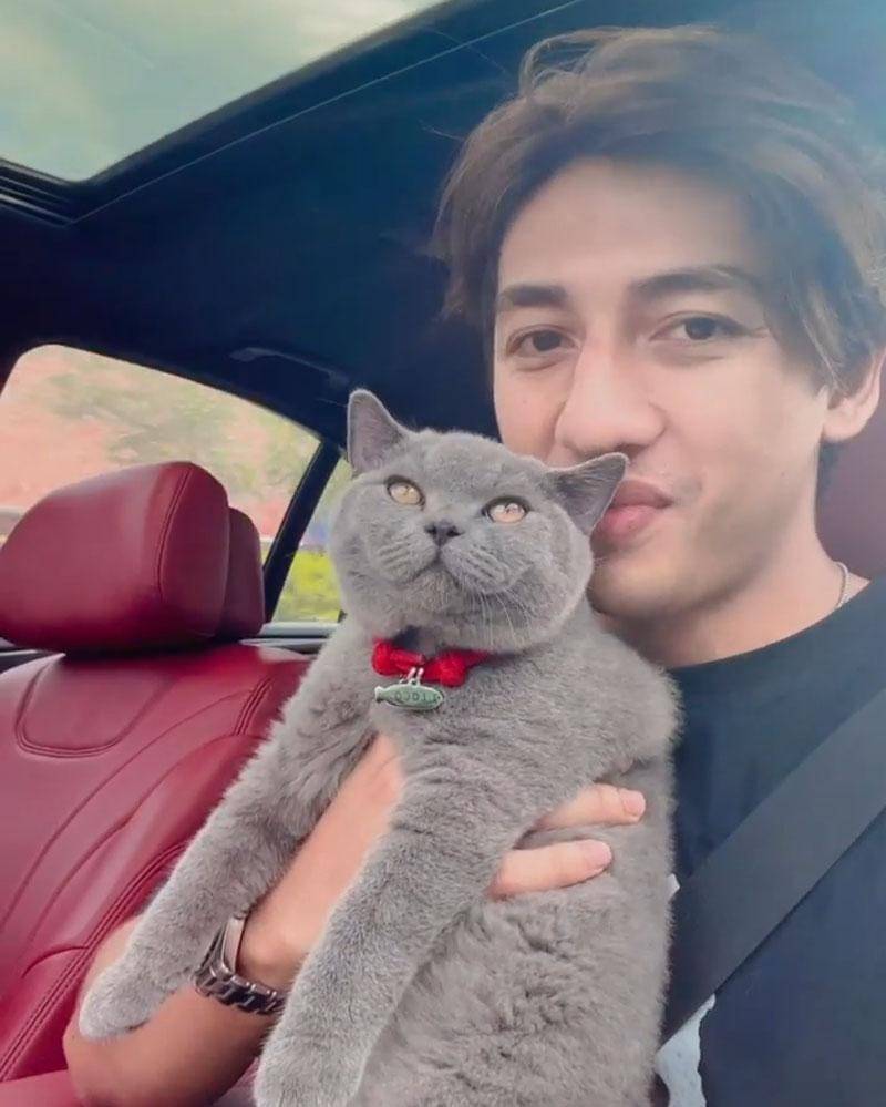 Instagram.com/harrisvriza