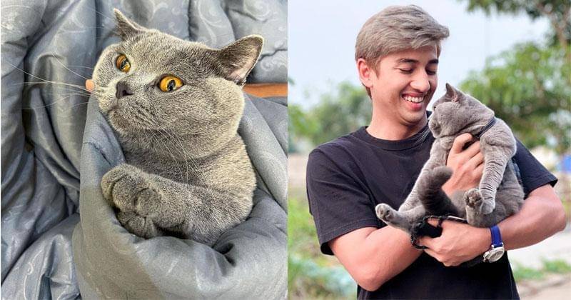 Instagram.com/locobsh | Instagram.com/harrisvriza