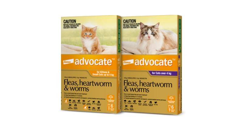 Mypetandi.elanco.com