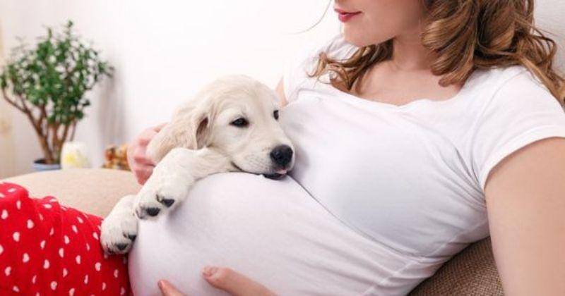 pinterest.com/romper.com