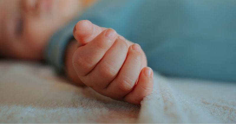 Pexels.com/Catalina Carvajal Herrera