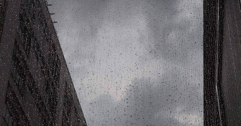 Pexels/Rodrigo Jubram