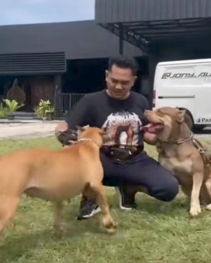 Tiktok.com/@kawananraja