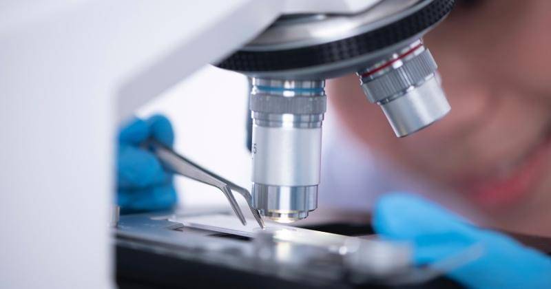 Pexels/Chokniti Khongchum