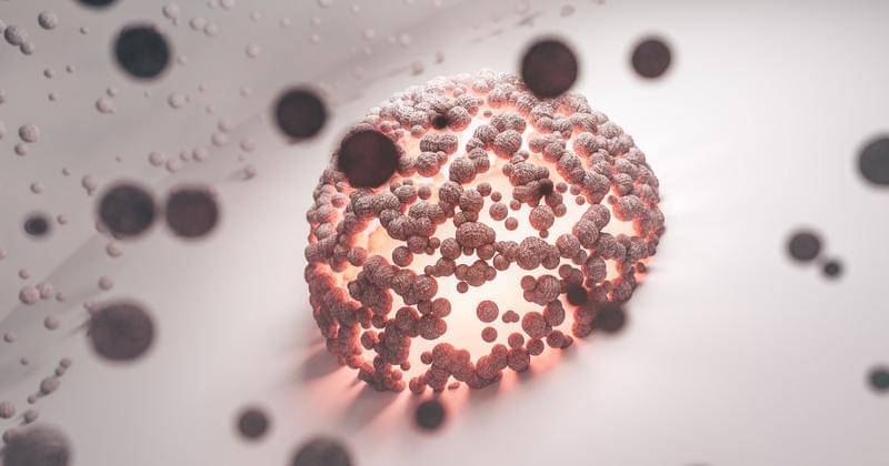 Pexels/Marek Piwnicki