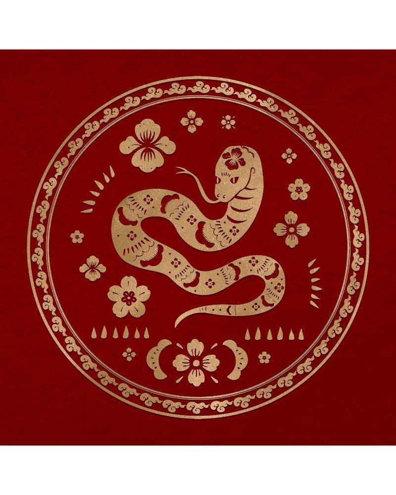 Freepik/Rawpixel.com