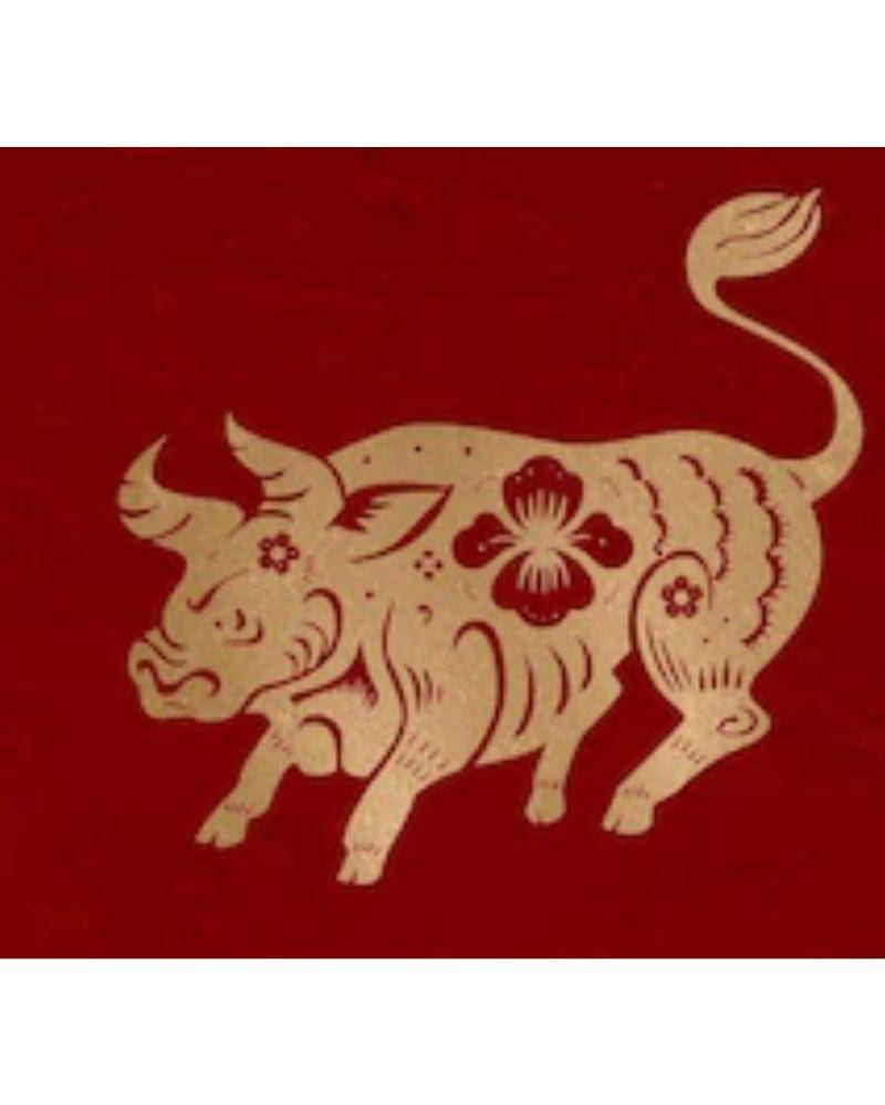 Freepik/Rawpixel.com