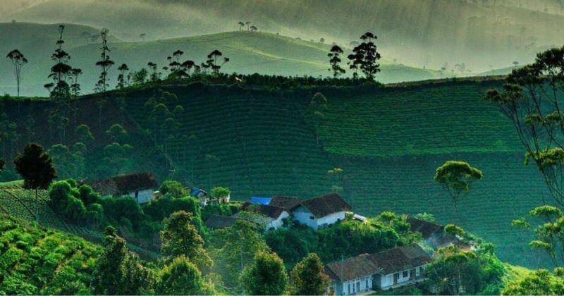 Instagram.com/barljis