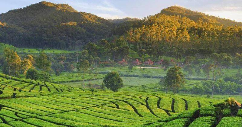 Instagram.com/pesona.indonesia