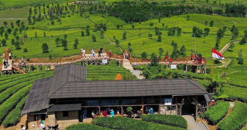 Instagram.com/rivaldi_penzol