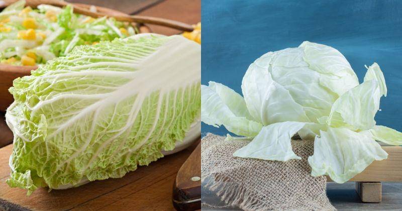 Freepik/timolina/azerbaijan_stockers