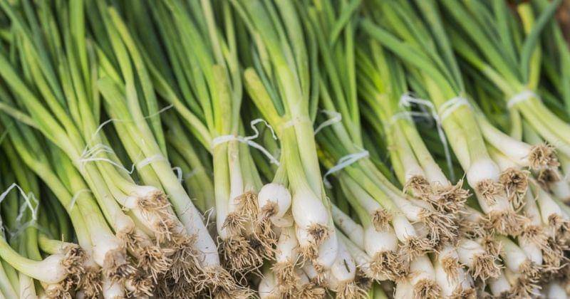 Freepik/Dragana_Gordic