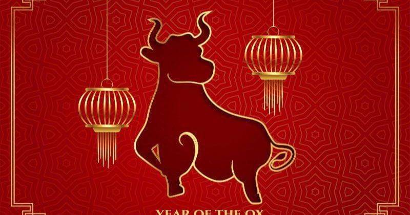 thechinesezodiac