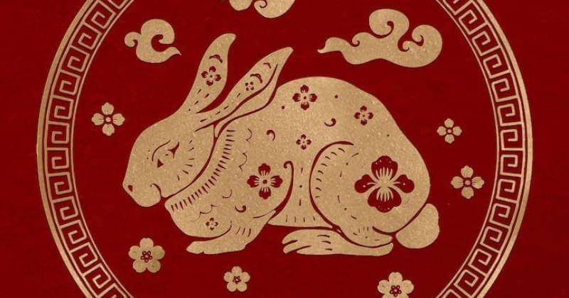 freepik/rawpixel-com