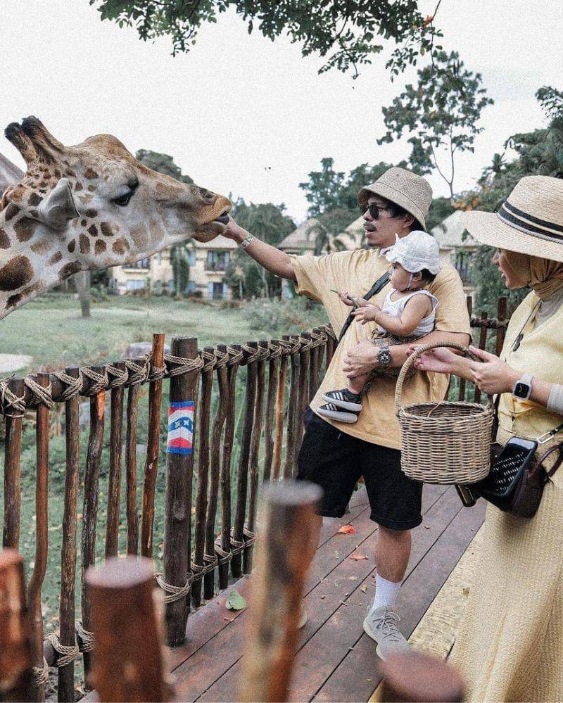 Instagram.com/@aurelie.hermansyah