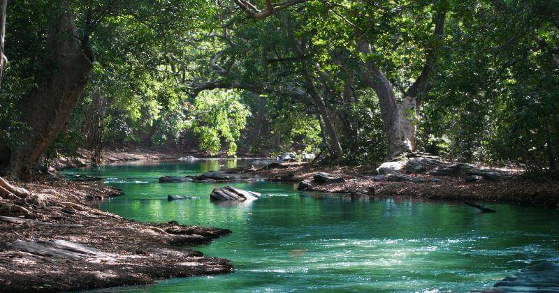 Ilustrasi - Pexels/Ian Turnell