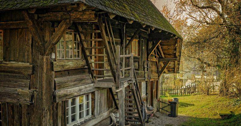 Pexels/Johannes Plenio