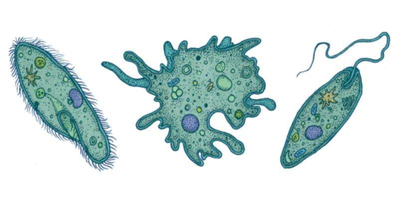 Onlinesciencenotes.com