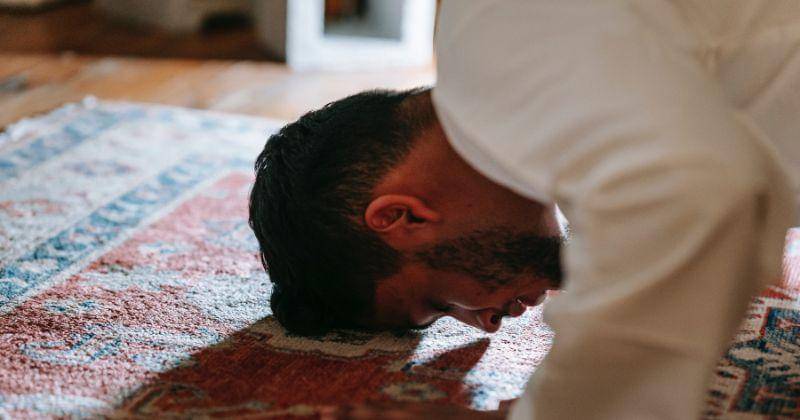 Pexels/Michael Burrows