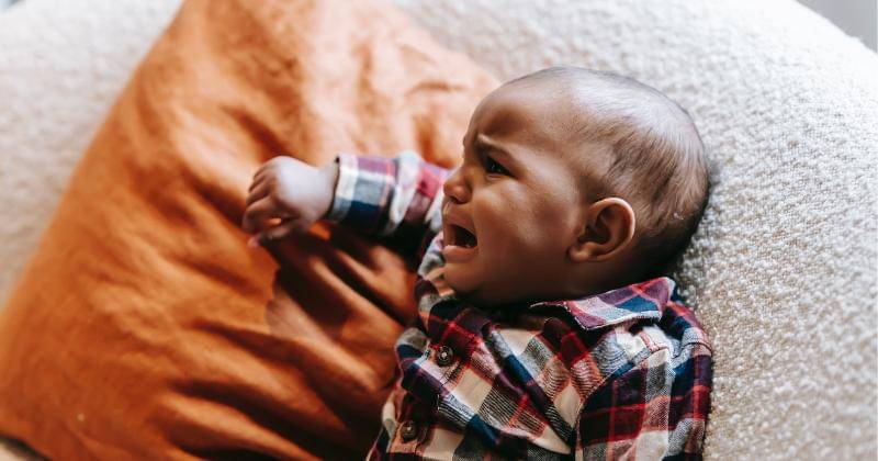 Pexels/William Fortunato