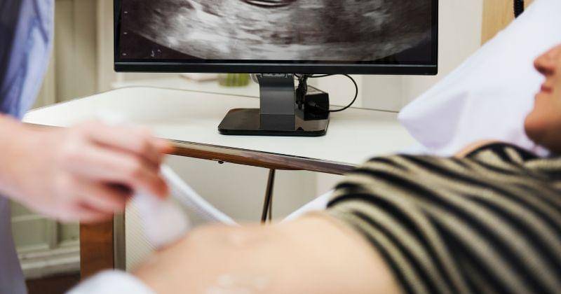 Freepik.com/raw.pixel.com