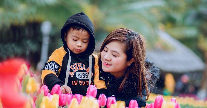 Pexels/Tuấn Kiệt Jr.