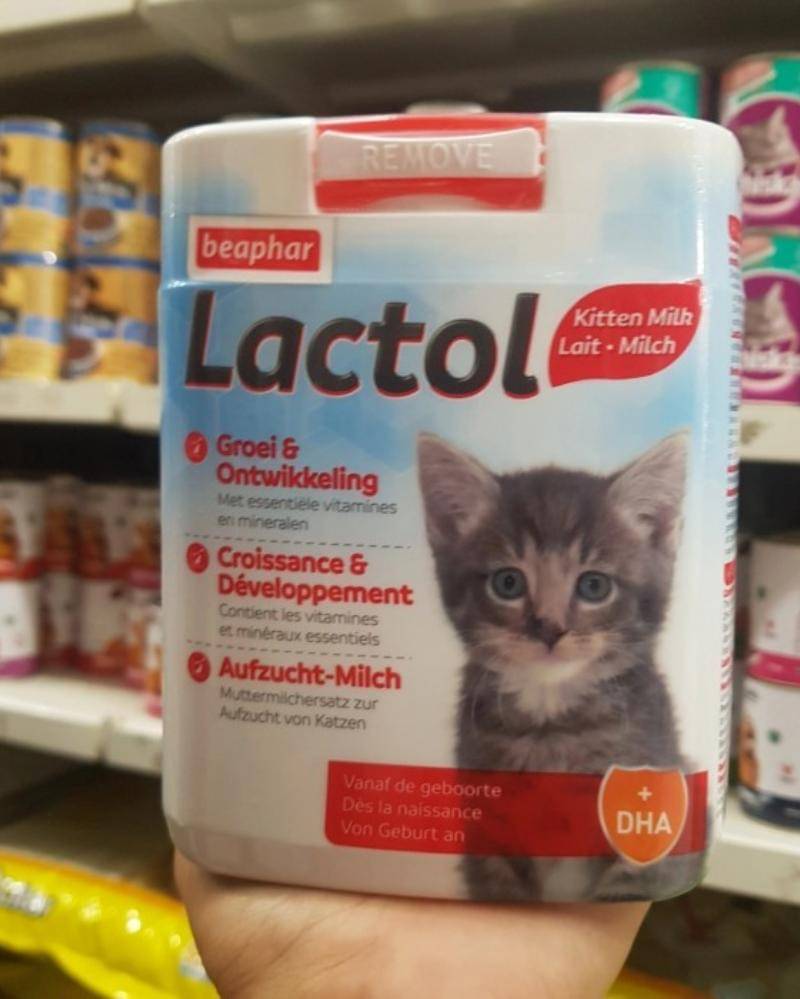 Tokopedia.com/RchmdxAsmrKcau