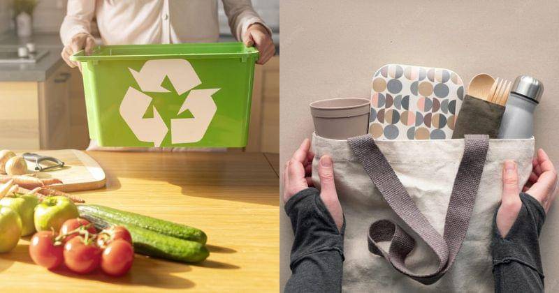 Freepik/freepik/anyaivanova