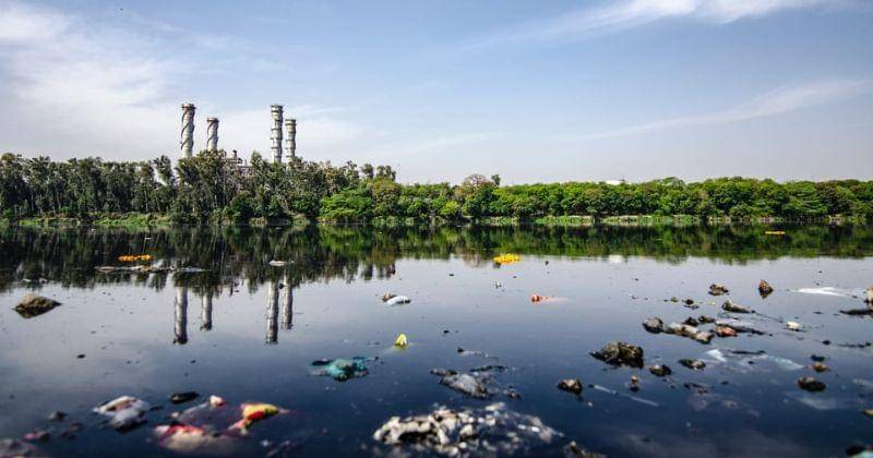 Pexels/Yogendra Singh