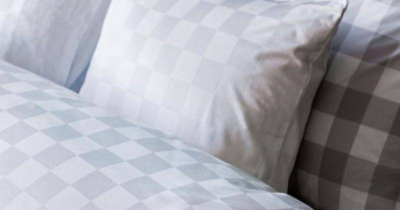 Instagram.com/hastensbeds