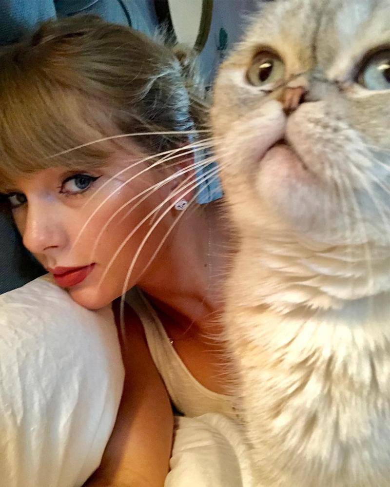 Instagram.com/taylorswift