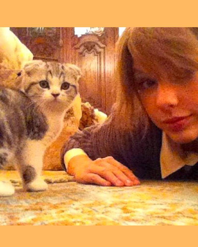 Twitter.com/taylorswift13